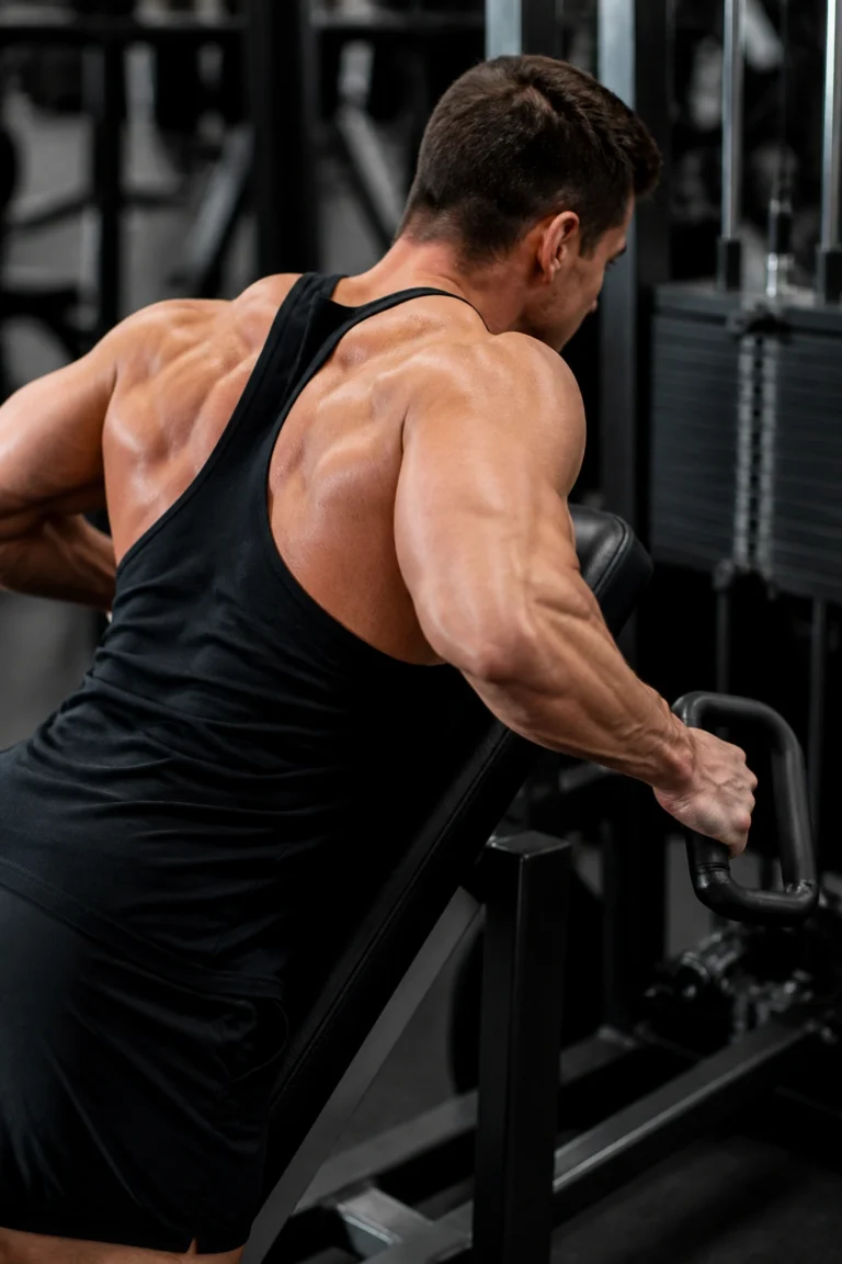 15 Workout Plans for Gym Days That Build Muscle
