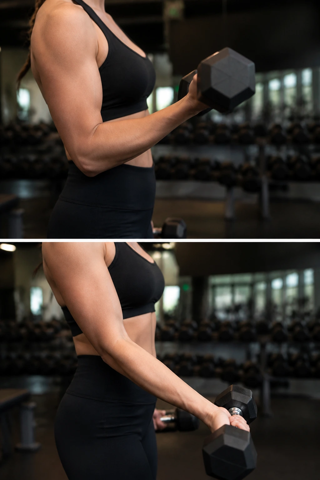 Forearm during Zottman curl with wrist rotation in a gym