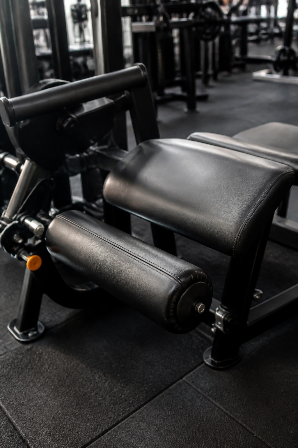 Close-up of leg curl machine pad and roller in a gym